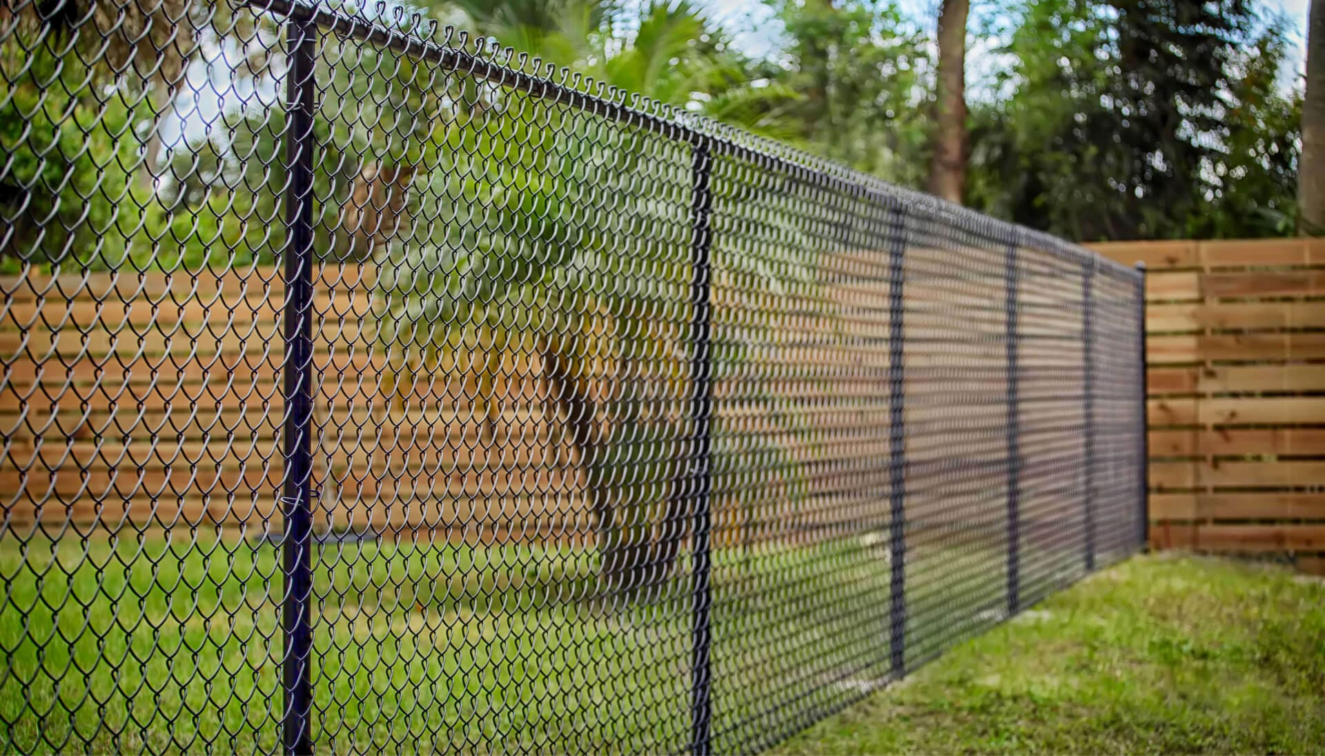 chain link fence installation services in St Petersburg